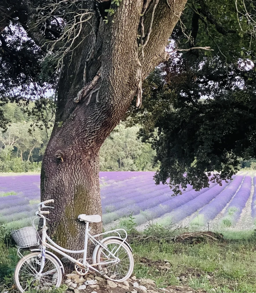 domaine de réception Provence 